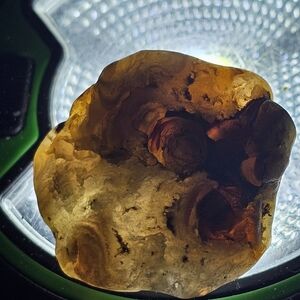 Natural Amber Reptile Habitat Decor